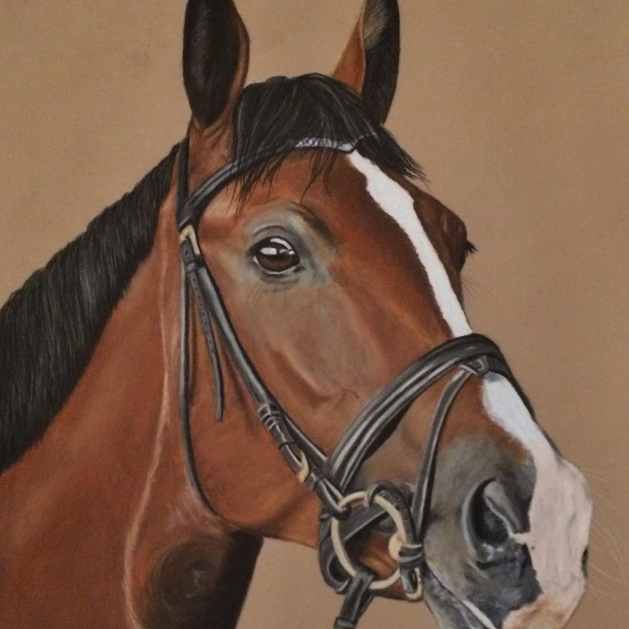 Zelmi Fine Art , Artiste équin et animalier YouTube