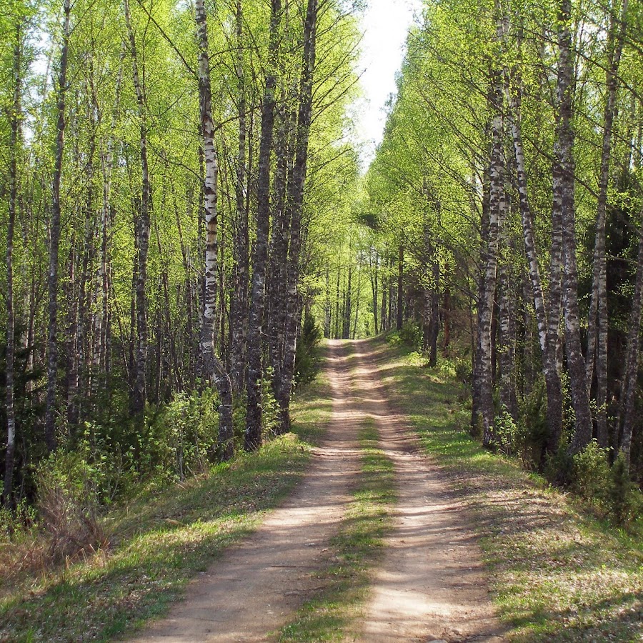 Amazon Princess - YouTube