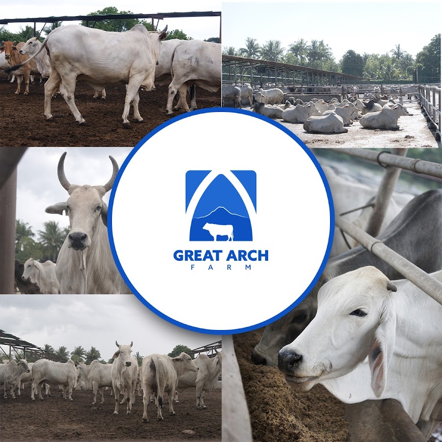 Adelaide River YouTube