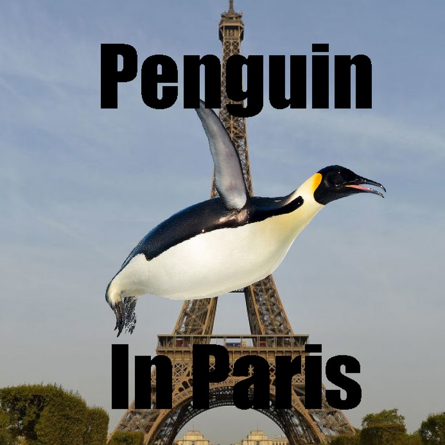 Penguin In Paris - YouTube