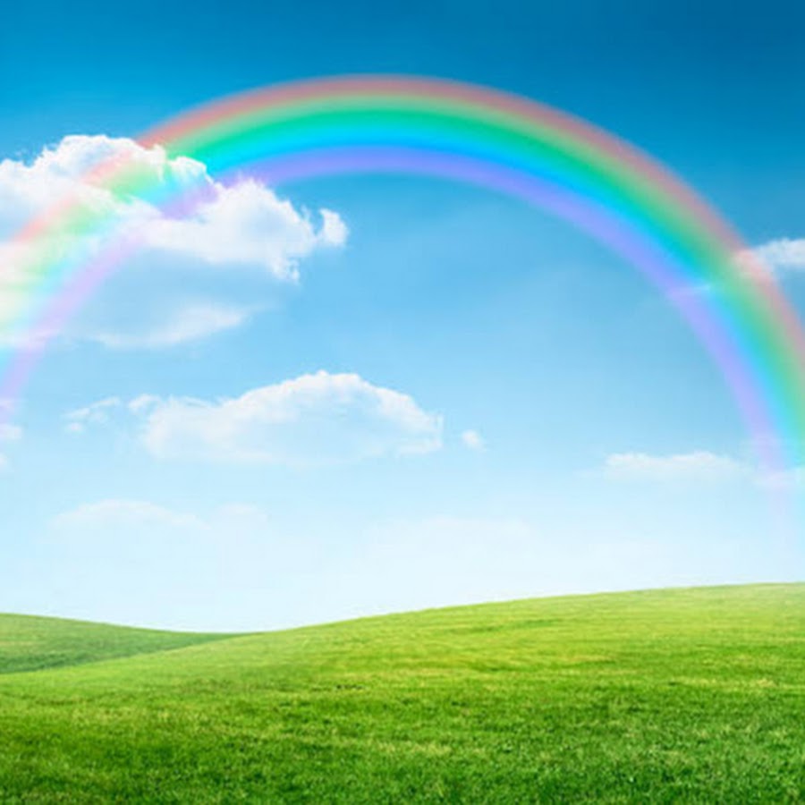 スカッとすっきり感動 YouTube