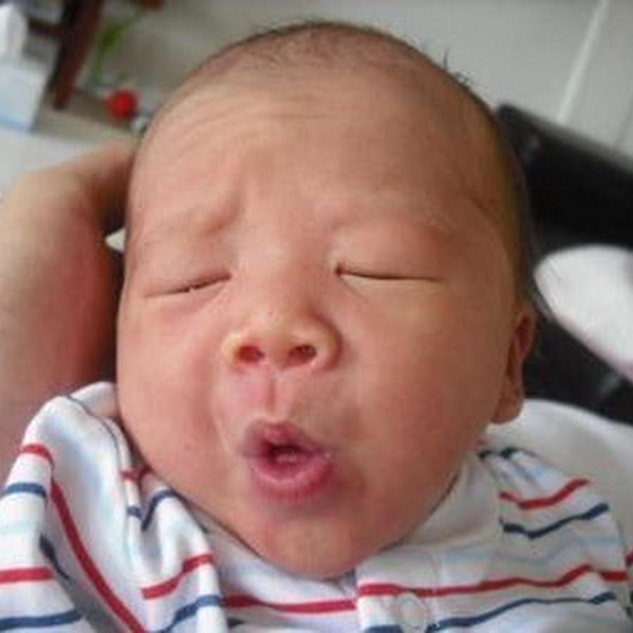 動画集wwwおもしろ YouTube