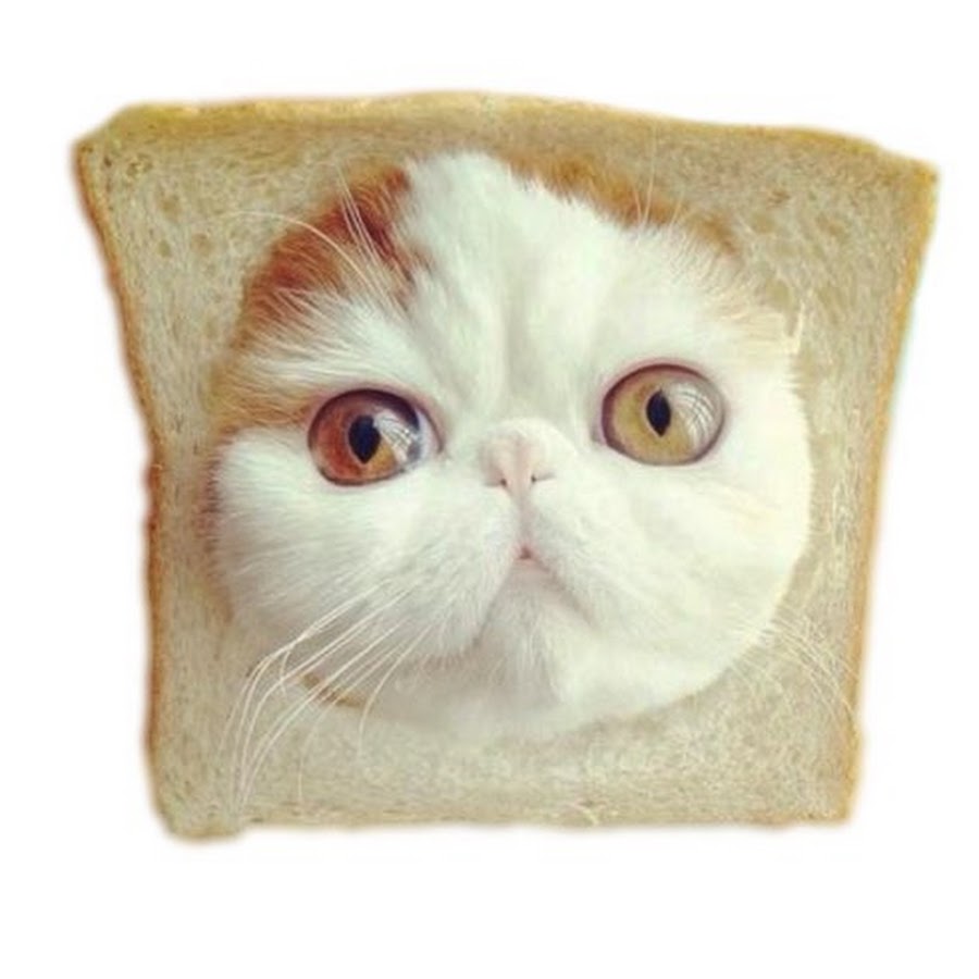 An Deinem Gesicht Knnte Ein Schnheitschirurg Reich Werden