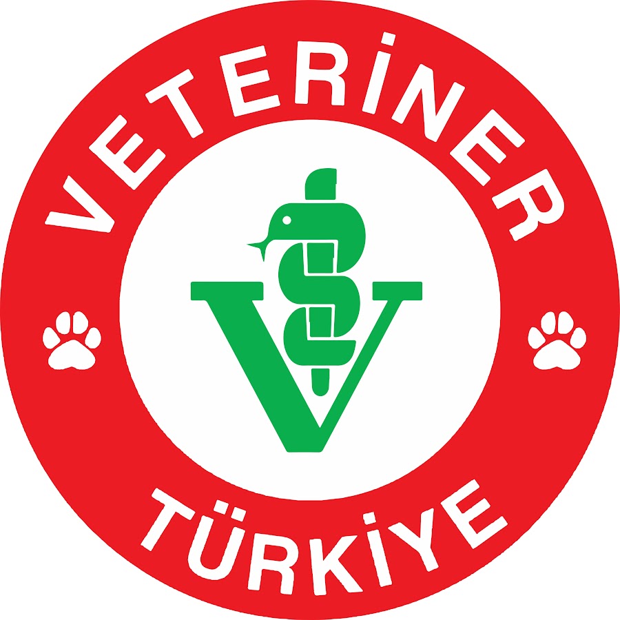 Veteriner Türkiye TV YouTube