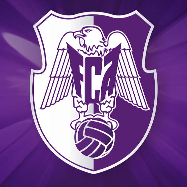 Fc Botosani Fc Arges : Croitoru: "Sunt foarte supărat! De la 3-0 am intrat în ... / Fc argeş piteşti video highlights are collected in the media tab for the most popular matches as soon as video appear on video hosting sites like youtube or dailymotion.