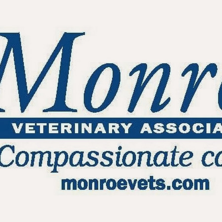 Monroe Veterinary Associates YouTube