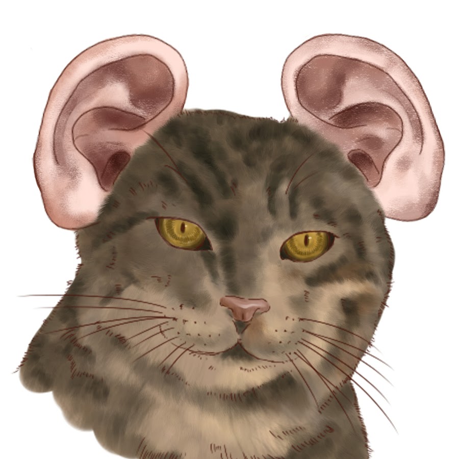 Cat playing with mouse (Really funny!!!) - YouTube