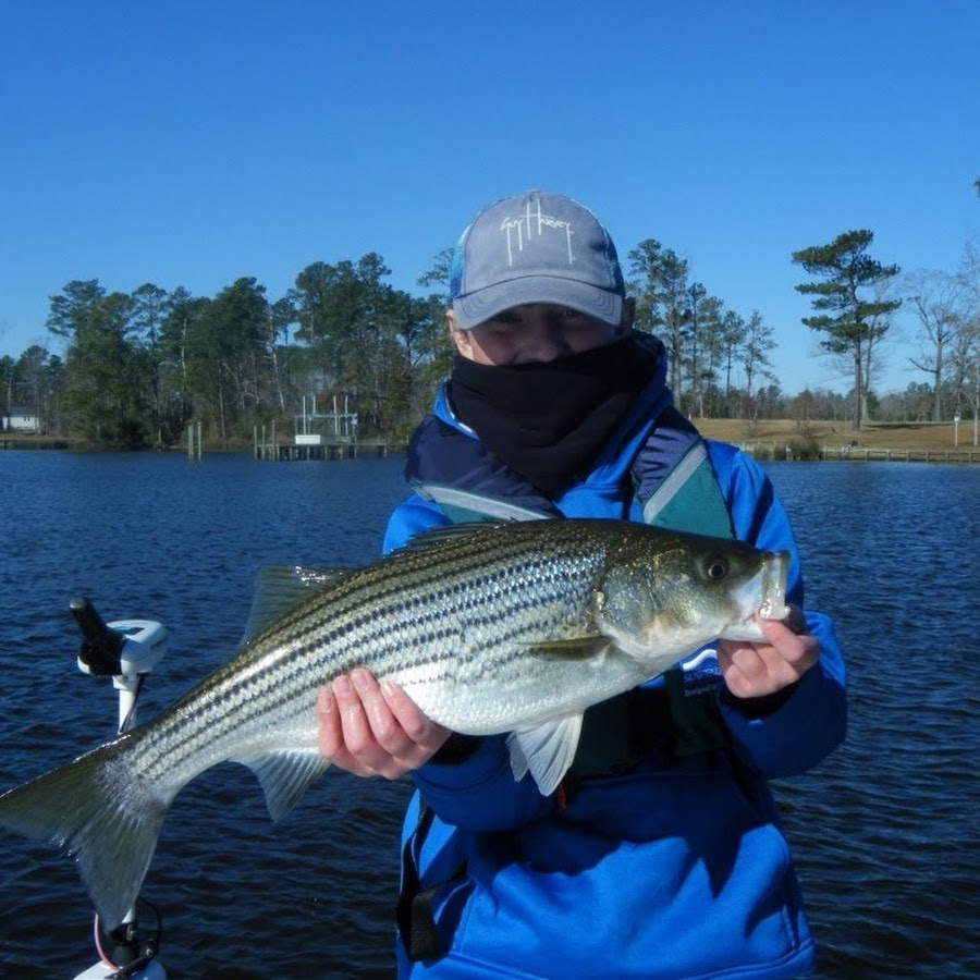 freshtosaltfishermen 