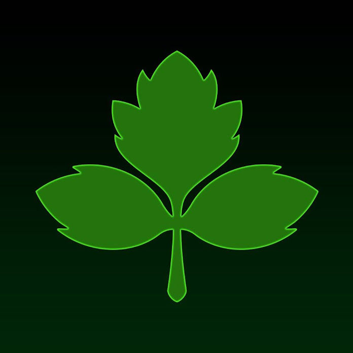 Team Cilantro Net Worth & Earnings (2026)