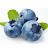 Blue Berry avatar