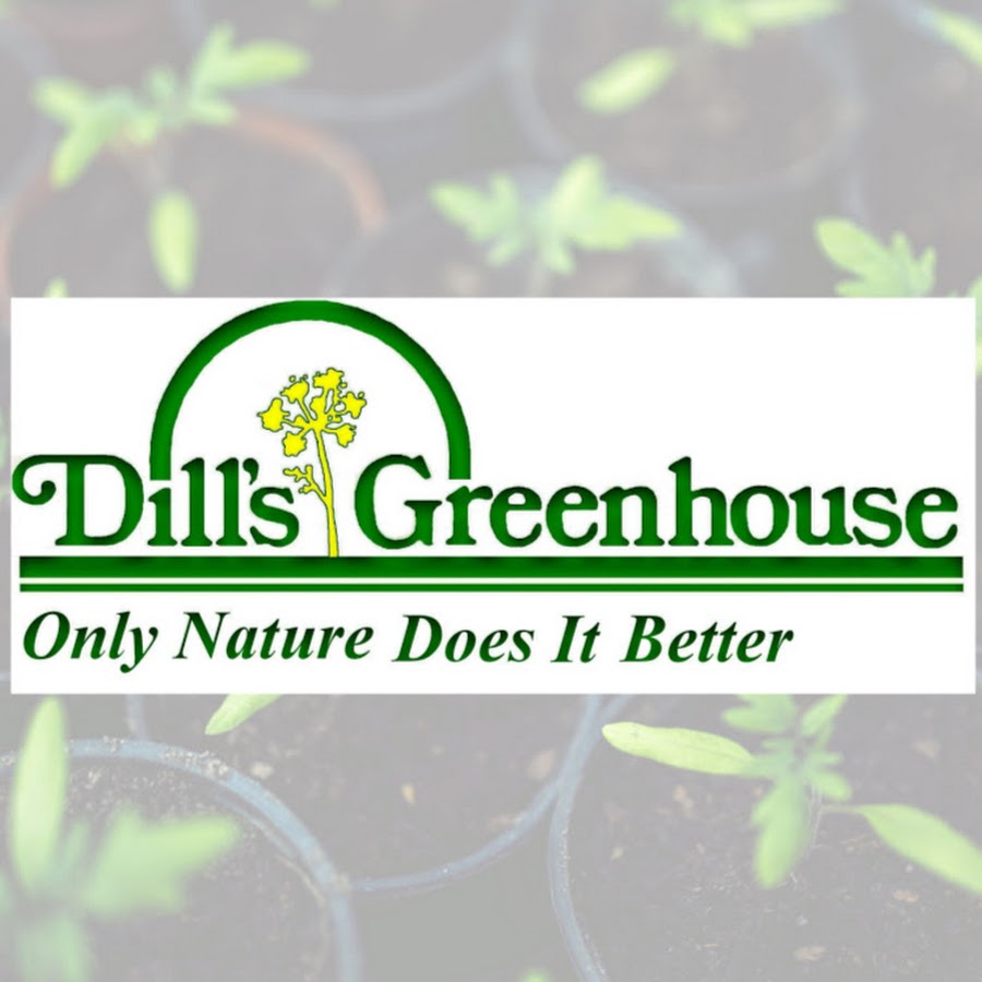 Dill's Greenhouse YouTube