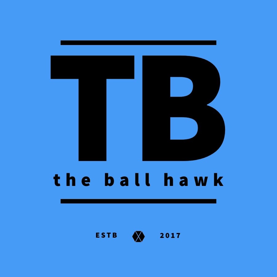 the ball hawk YouTube