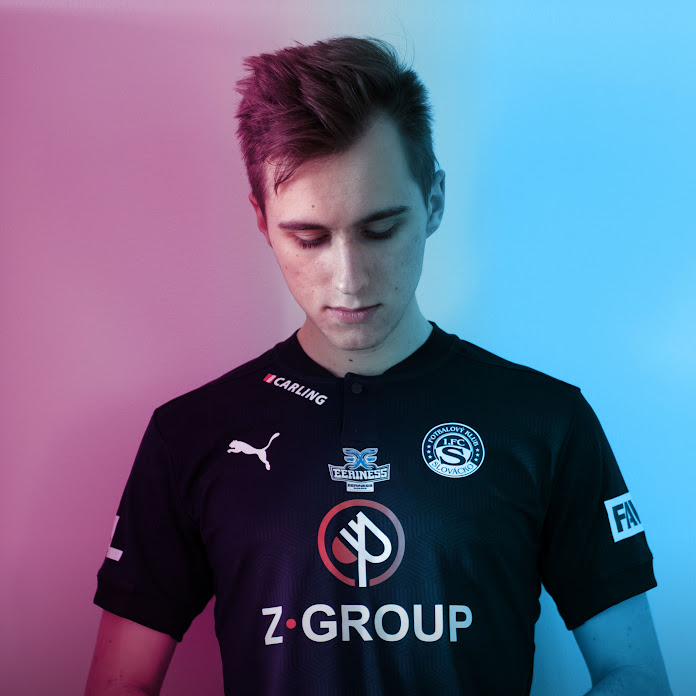 VengefulBrothers Net Worth & Earnings (2026)