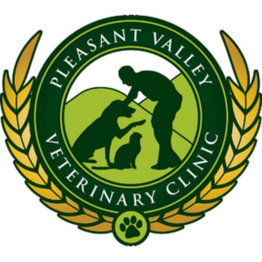 Pleasant Valley Veterinary Clinic YouTube