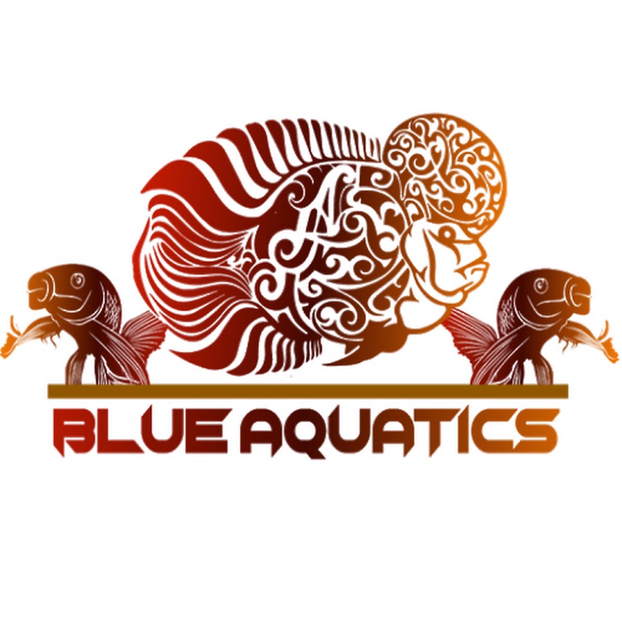 Flowerhorn Fish Flowerhorn Logo Design