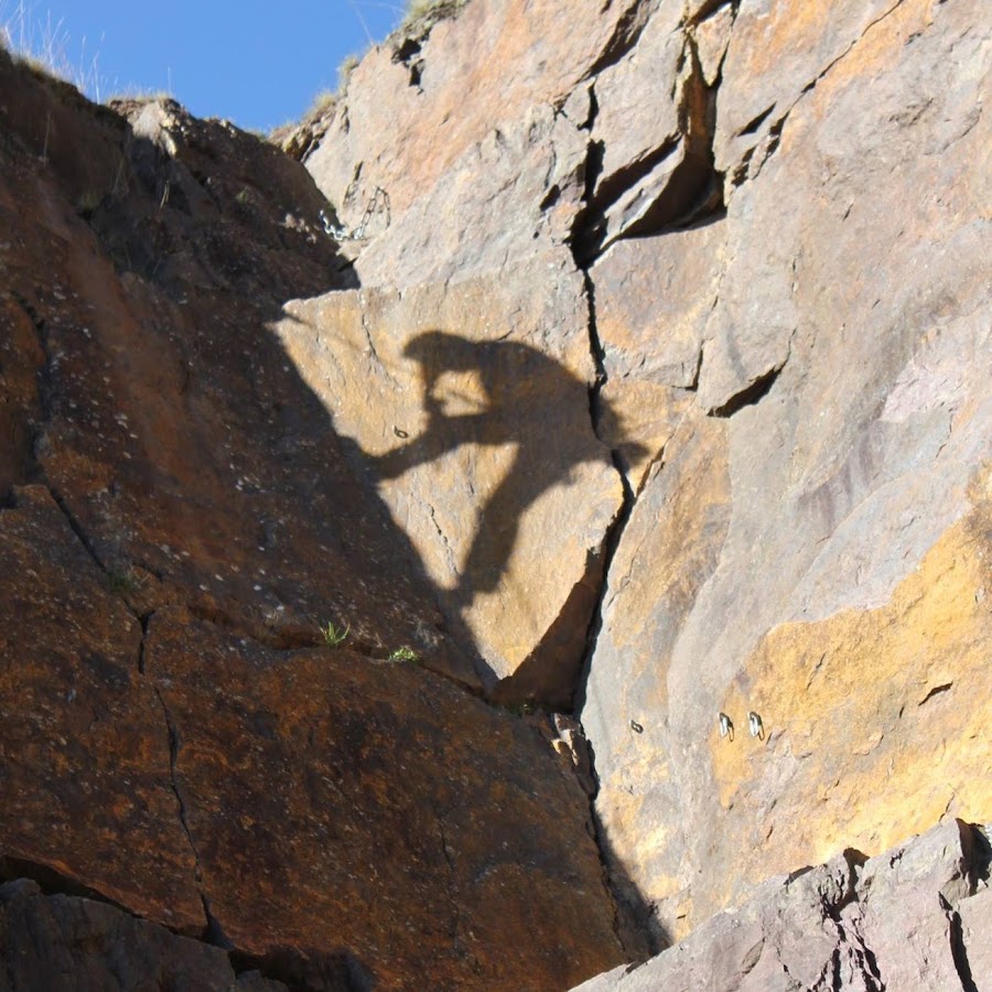 Crab Climbing YouTube