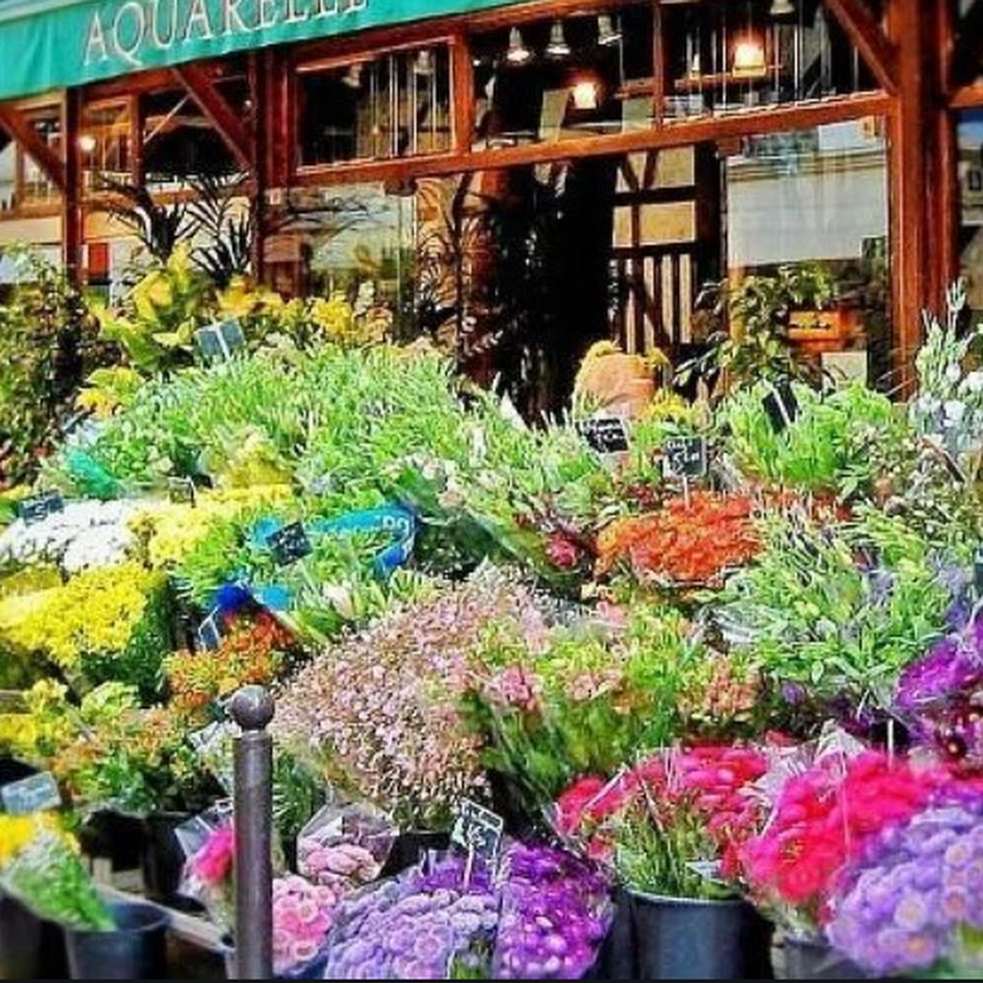 13 цветочный магазин. Цветочная Лавка Париж. Цветочный магазин. Цветочный магазин в Париже. Магазин цветов во Франции.