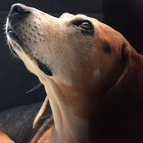 スピリチュアルNORI - 幸せになるためのノウハウ集画像