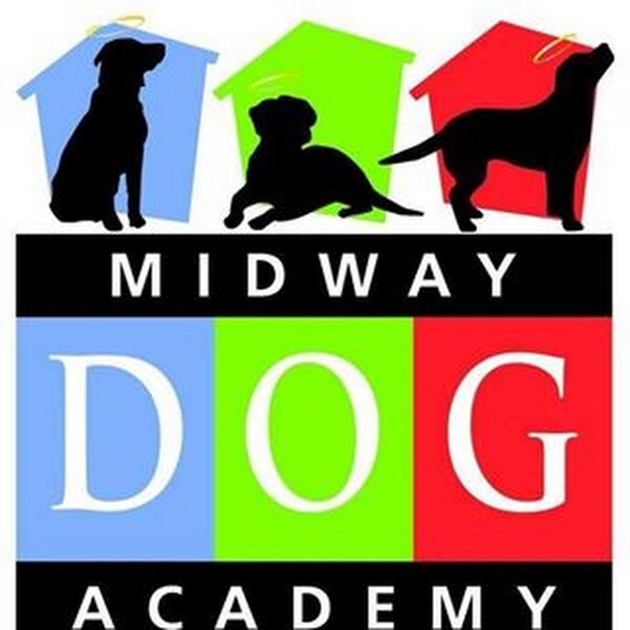 Midway Dog Academy Raleigh North Carolina YouTube