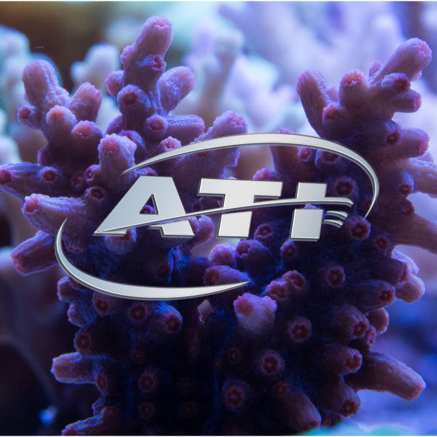 ATI Aquaristik YouTube