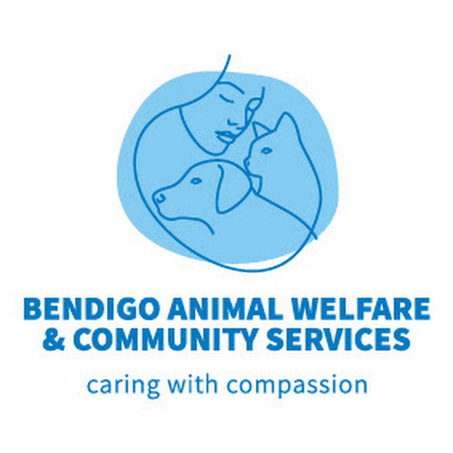 Bendigo Animal Welfare & Community Services YouTube