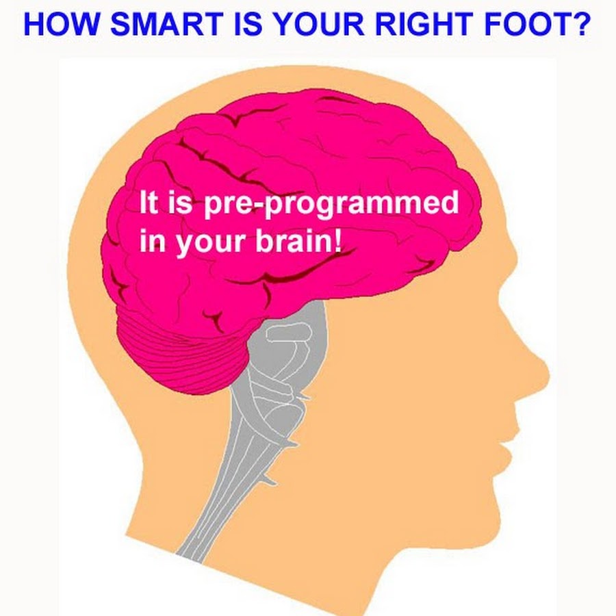 Brain 28. How to Smart. How Clever.