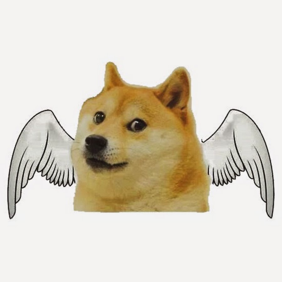 Angel Doge - YouTube