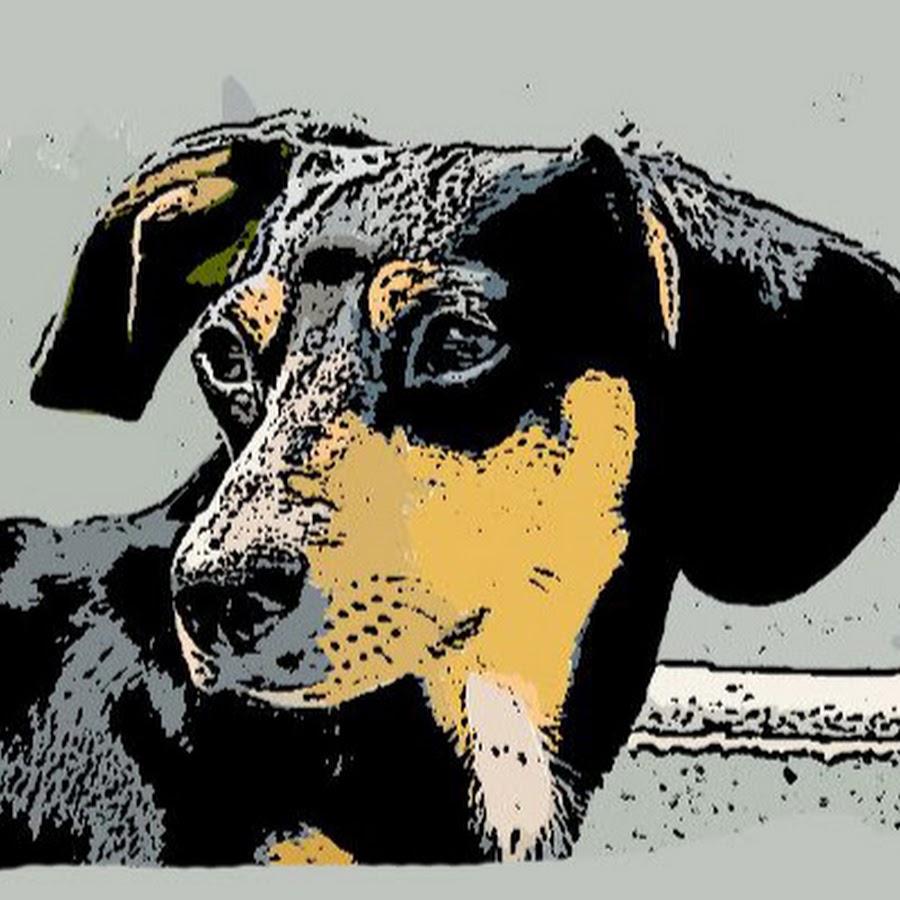 Data Dachshund YouTube