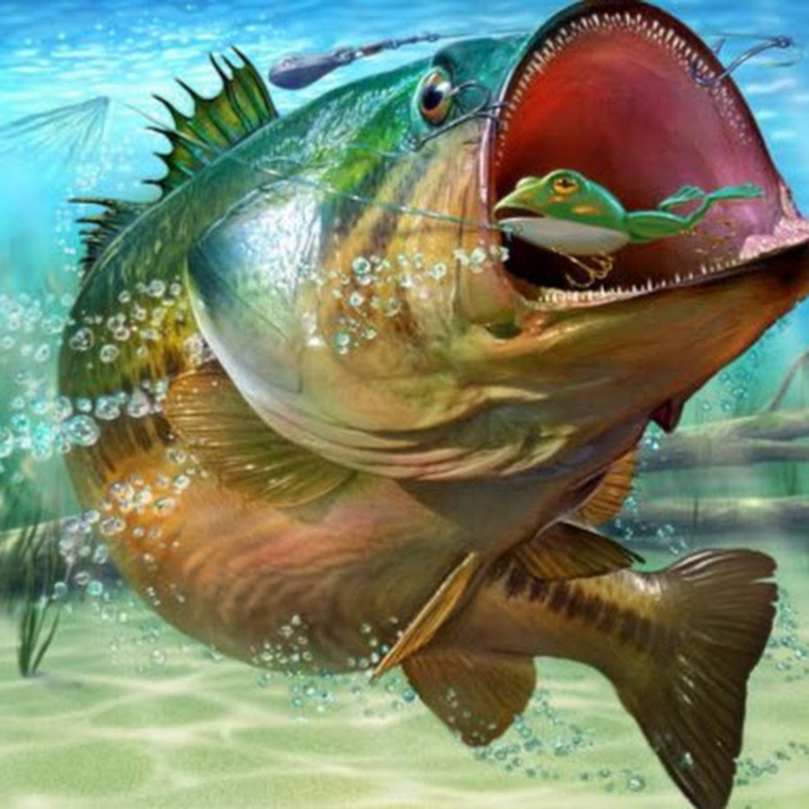 Bass Fishing - YouTube