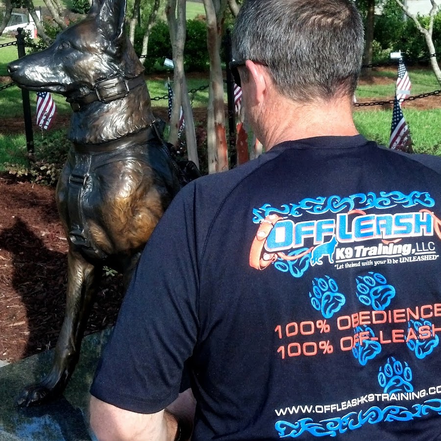 Off Leash K9 Training of the LowCountry YouTube