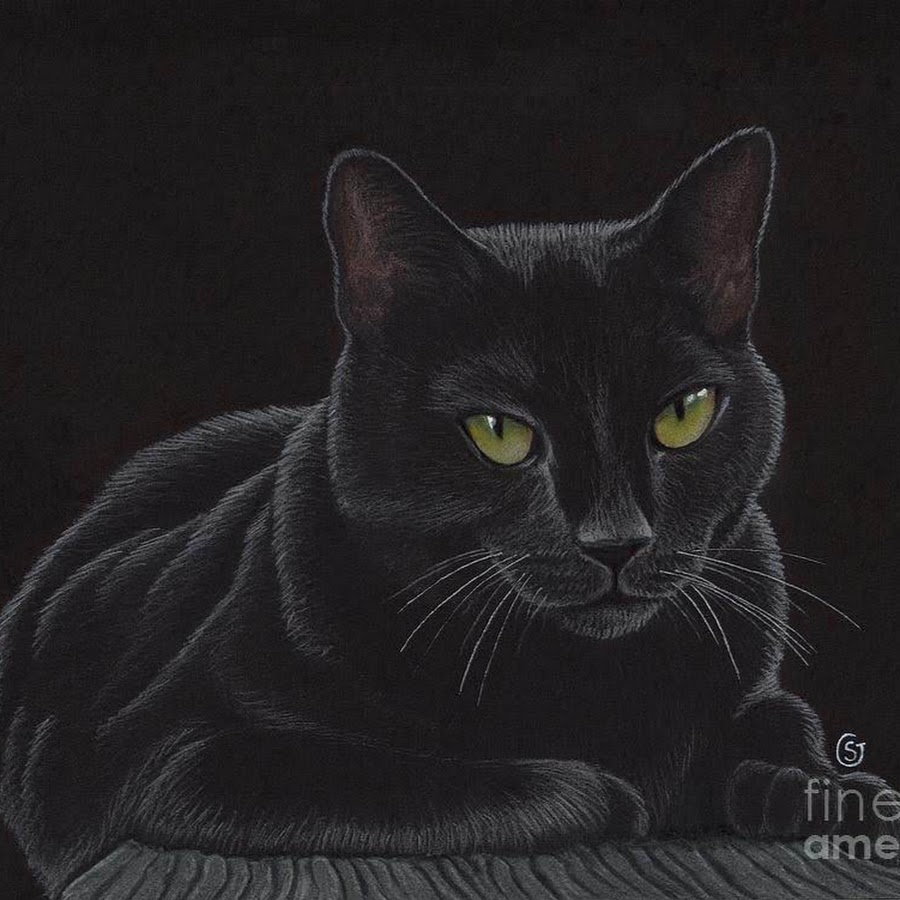 Черный кот рисунок (40 фото)