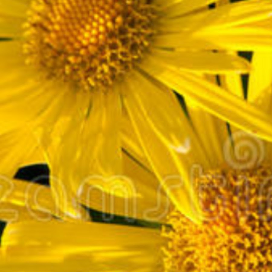 WASIQ'S CREATION - YouTube