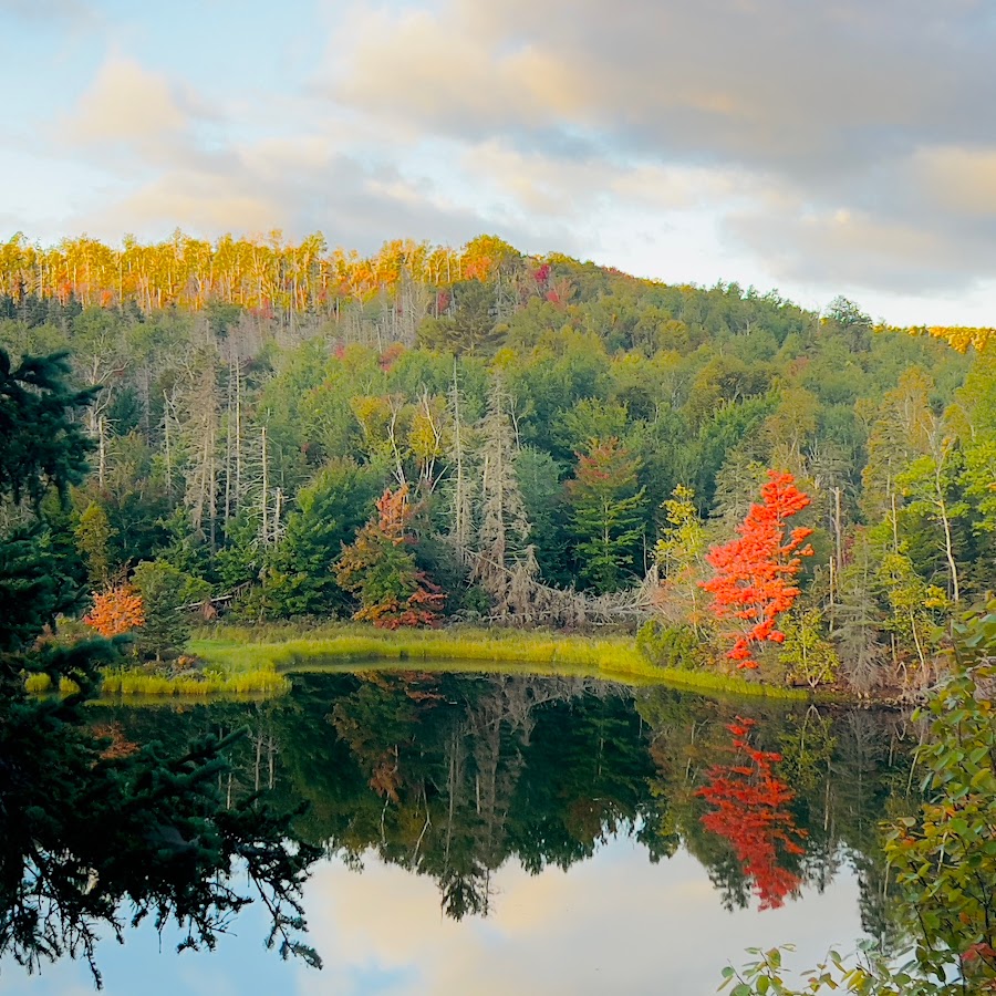 Royal Palms - YouTube