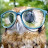 GlyntTheCat avatar