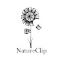 NatureClip: Free Stock Footage