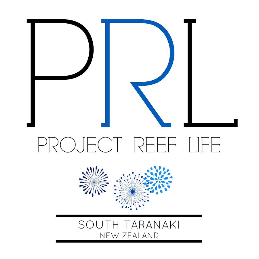 Reef Project.