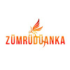 What could Zümrüdüanka buy with $4.9 million?