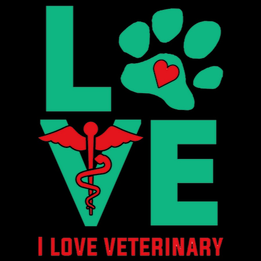 I Love Veterinary YouTube