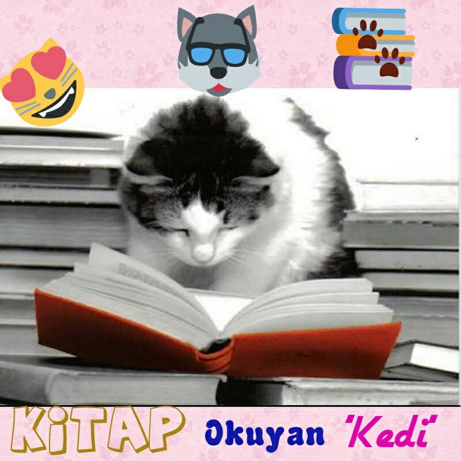 Kitap Okuyan Kedi YouTube