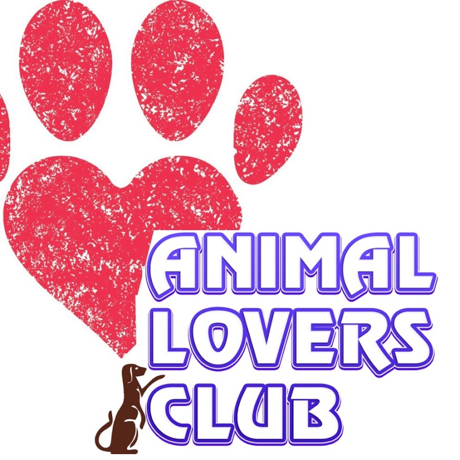 Animal Lovers Club YouTube