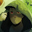 Leo K [Rogue] avatar