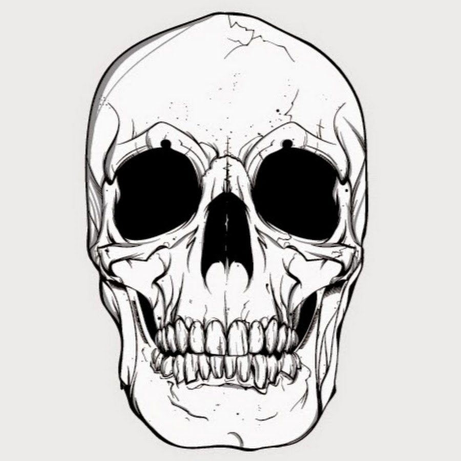 Череп векторное изображение