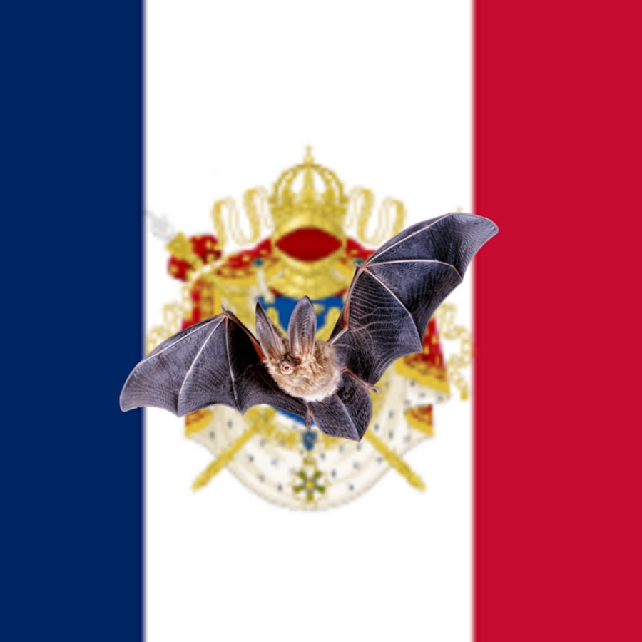 French Bat Mapping YouTube