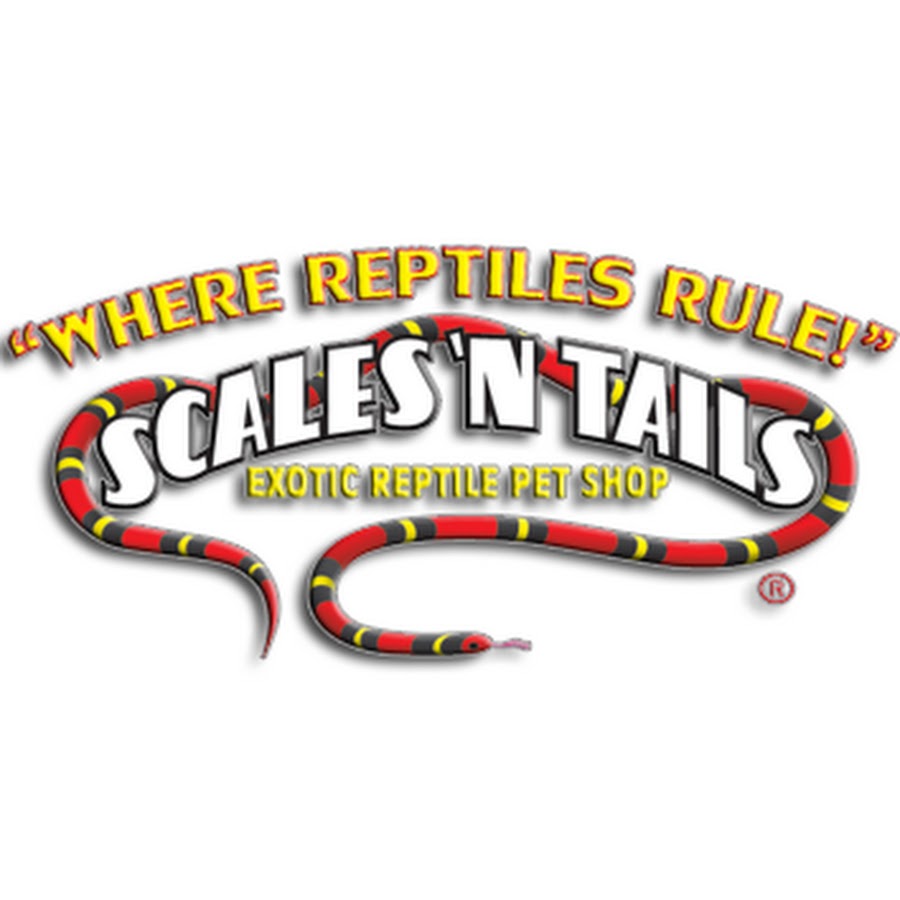 Scales 'N Tails YouTube