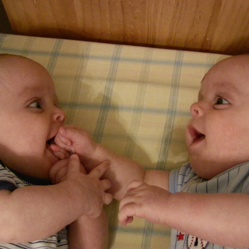 funny twin baby videos title=