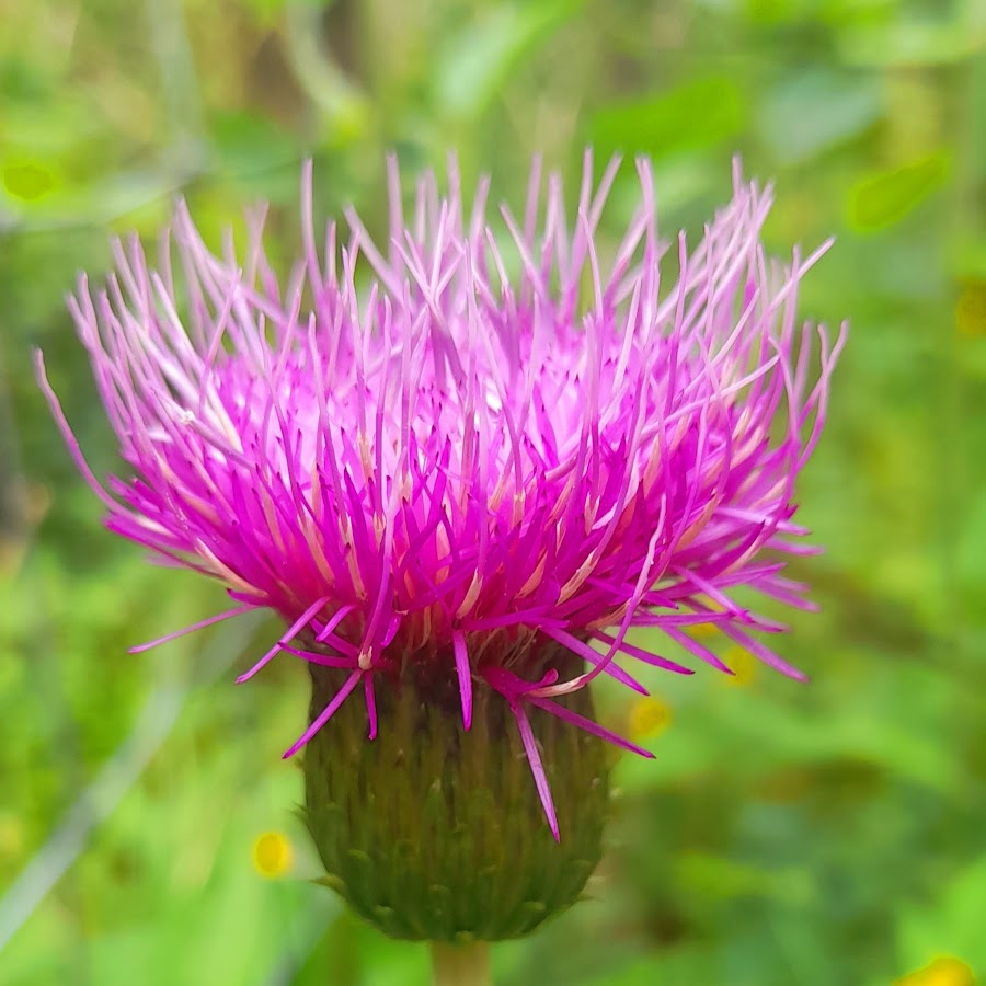 West Cumbria surf n turf - YouTube