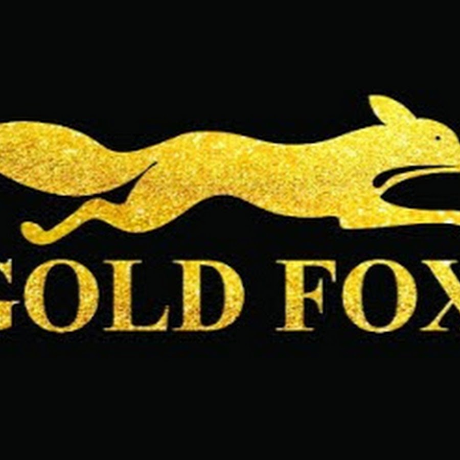 Gold Fox - YouTube
