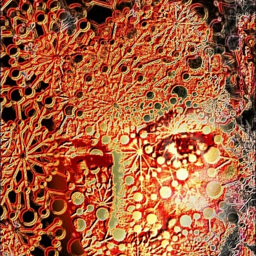 Leah Taylor - YouTube