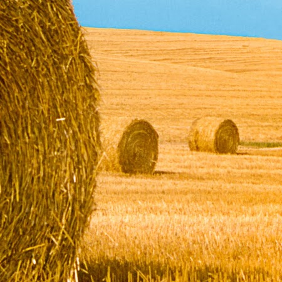Hay and Forage Talk - YouTube