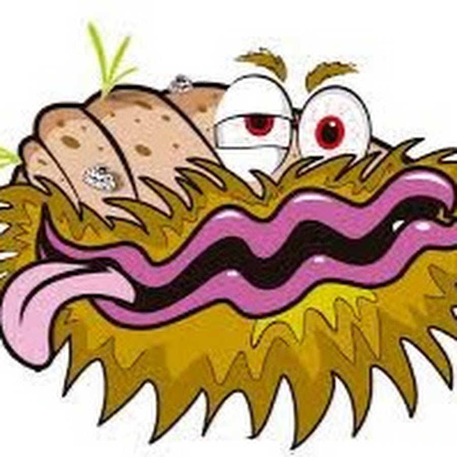 The Bearded Clam YouTube